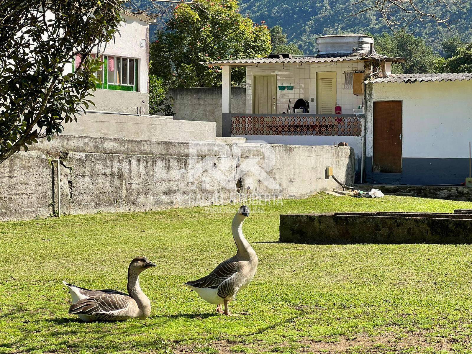 Casa à venda com 4 quartos, 166m² - Foto 32